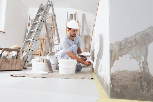 Reliable Union Park, FL Mold Removal Solutions
