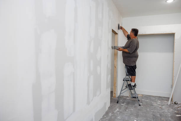 Mold Odor Removal Services in Union Park, FL