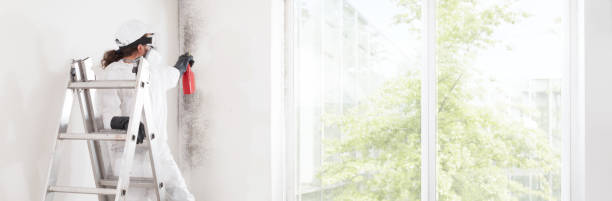Mold Remediation for Rental Properties in Union Park, FL