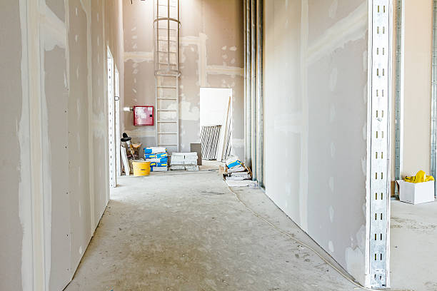 Best Mold Remediation for Healthcare Facilities  in Union Park, FL