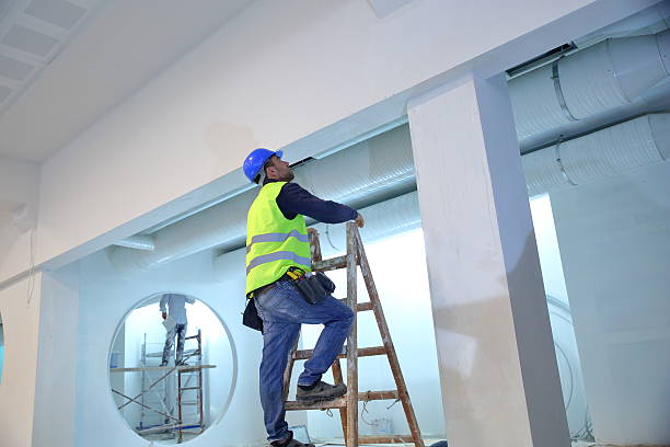 Best Mold Prevention Services  in Union Park, FL