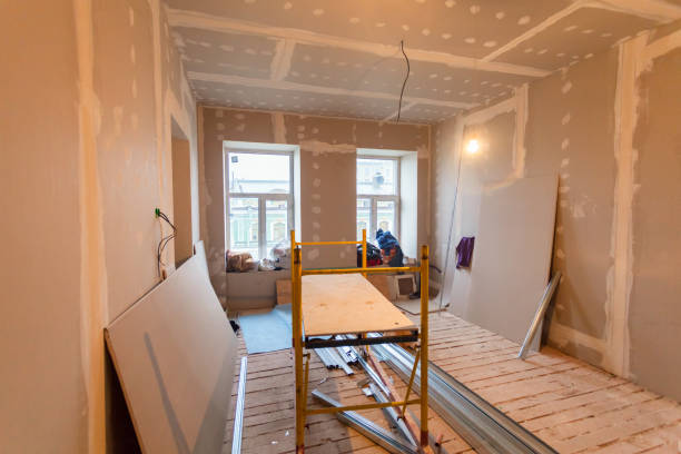 Best Post-Construction Mold Inspection  in Union Park, FL